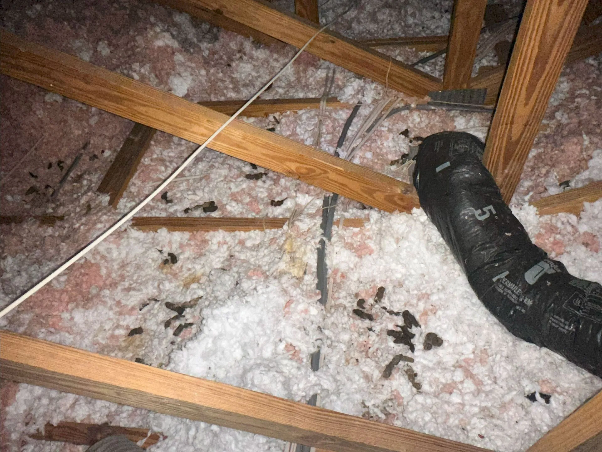 Insulation & Sanitation